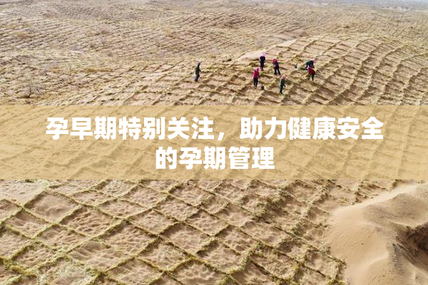 孕早期特别关注，助力健康安全的孕期管理