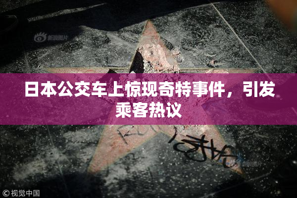 日本公交车上惊现奇特事件，引发乘客热议