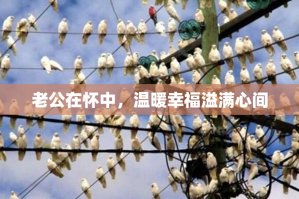 老公在怀中，温暖幸福溢满心间