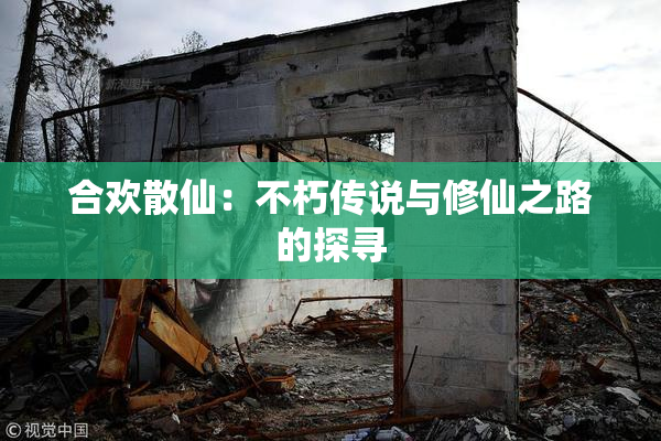 合欢散仙：不朽传说与修仙之路的探寻