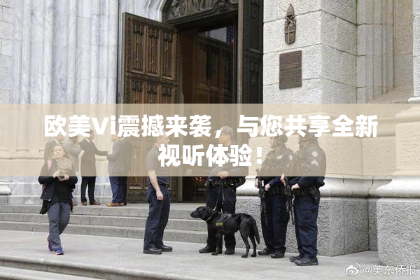 欧美Vi震撼来袭，与您共享全新视听体验！