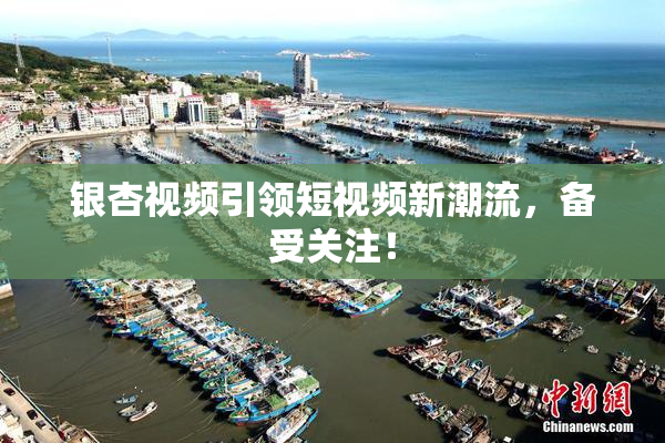 银杏视频引领短视频新潮流，备受关注！