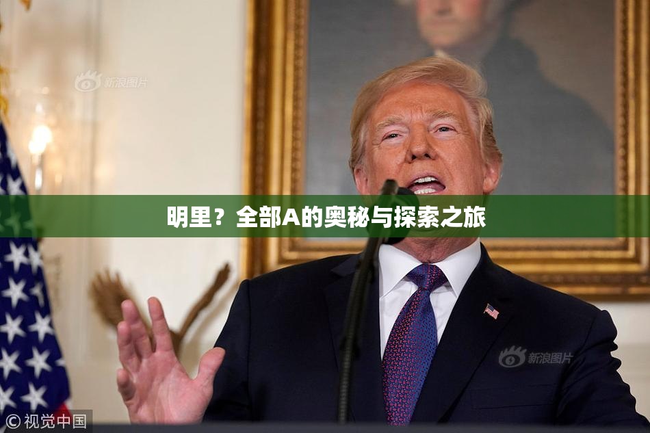 明里？全部A的奥秘与探索之旅