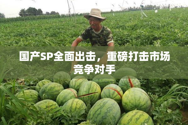 国产SP全面出击，重磅打击市场竞争对手