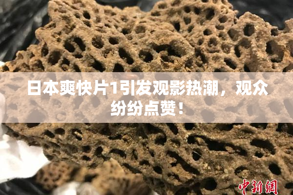 日本爽快片1引发观影热潮，观众纷纷点赞！