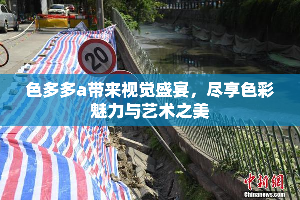 色多多a带来视觉盛宴，尽享色彩魅力与艺术之美