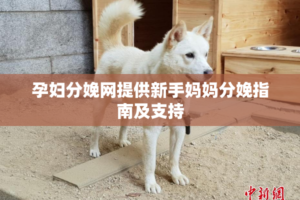 孕妇分娩网提供新手妈妈分娩指南及支持