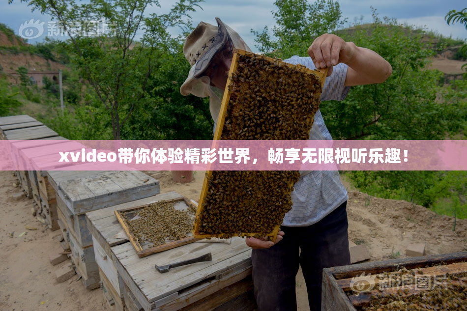 xvideo带你体验精彩世界，畅享无限视听乐趣！
