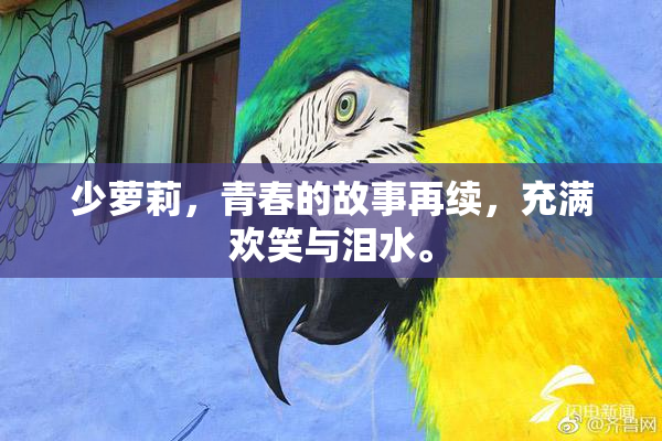 少萝莉，青春的故事再续，充满欢笑与泪水。