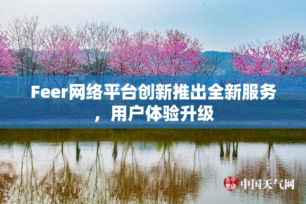Feer网络平台创新推出全新服务，用户体验升级