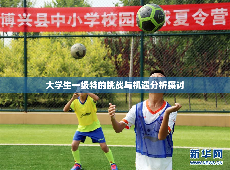 大学生一级特的挑战与机遇分析探讨