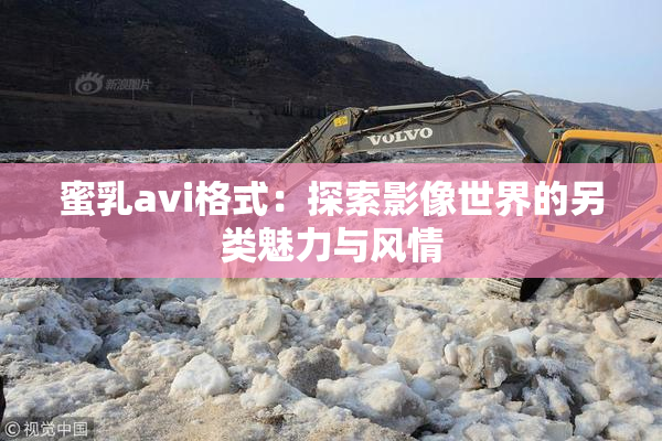 蜜乳avi格式：探索影像世界的另类魅力与风情