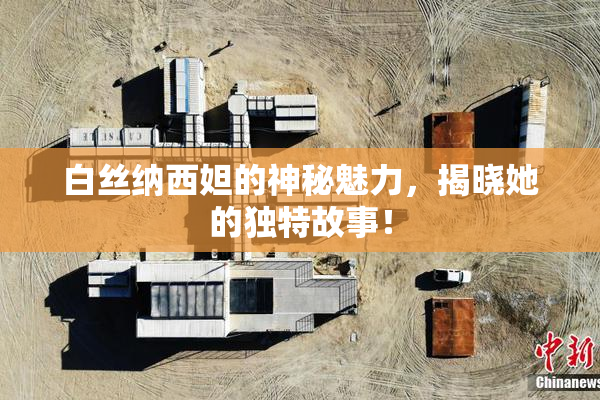 白丝纳西妲的神秘魅力，揭晓她的独特故事！
