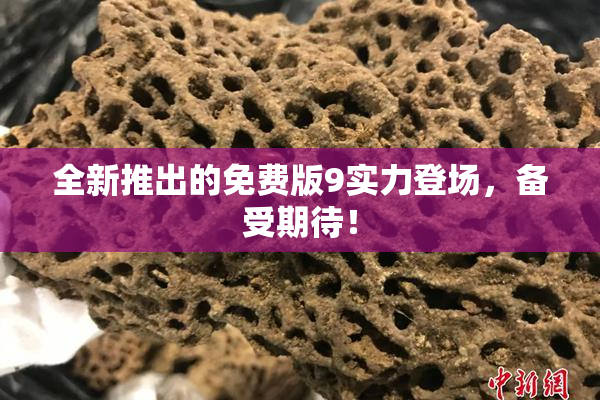 全新推出的免费版9实力登场，备受期待！