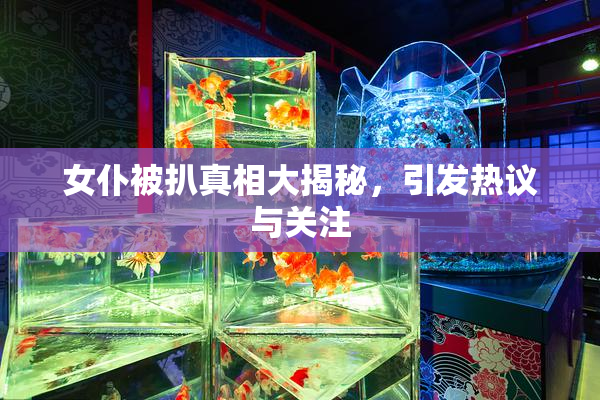 女仆被扒真相大揭秘，引发热议与关注