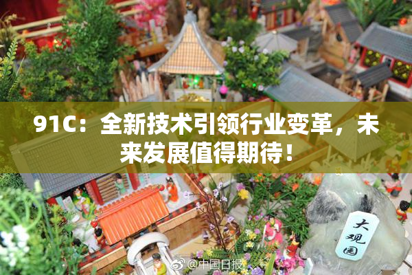 91C：全新技术引领行业变革，未来发展值得期待！