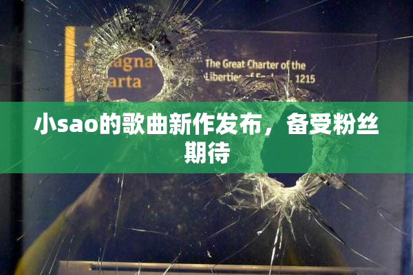 小sao的歌曲新作发布，备受粉丝期待