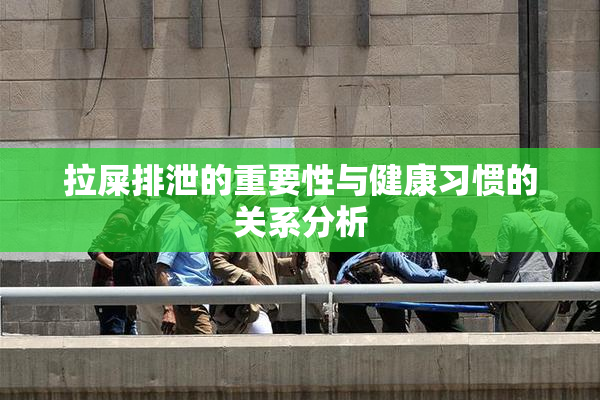 拉屎排泄的重要性与健康习惯的关系分析