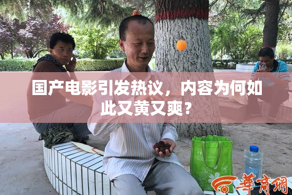 国产电影引发热议，内容为何如此又黄又爽？