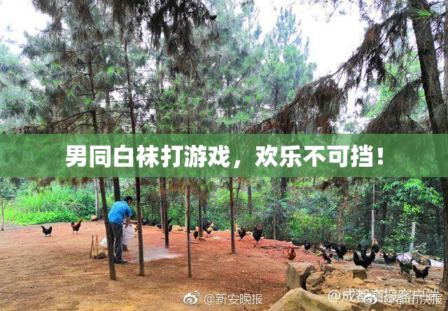男同白袜打游戏，欢乐不可挡！