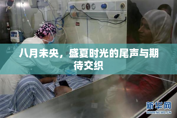 八月未央，盛夏时光的尾声与期待交织