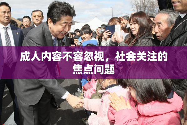 成人内容不容忽视，社会关注的焦点问题