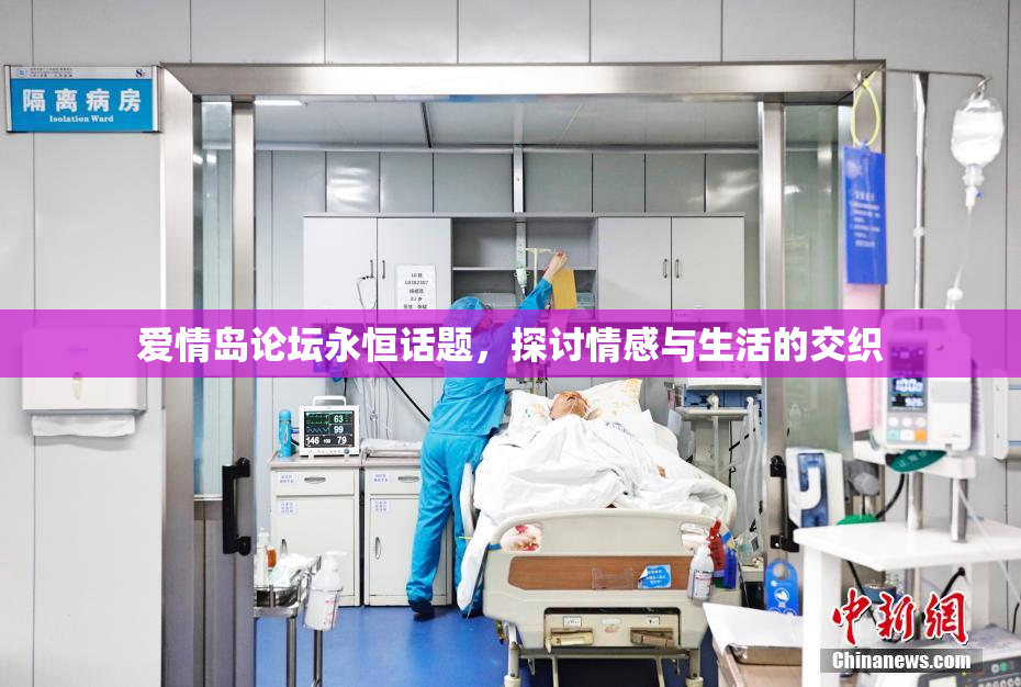 爱情岛论坛永恒话题，探讨情感与生活的交织