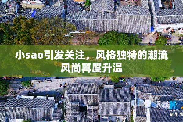 小sao引发关注，风格独特的潮流风尚再度升温