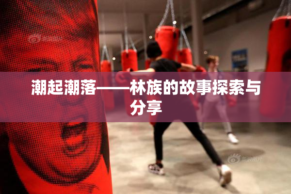 潮起潮落——林族的故事探索与分享