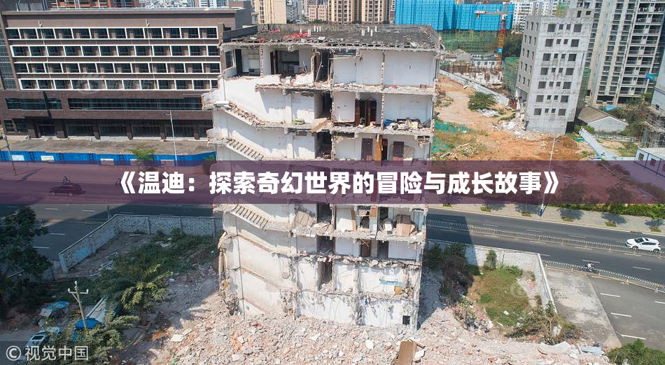 《温迪：探索奇幻世界的冒险与成长故事》
