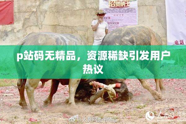 p站码无精品，资源稀缺引发用户热议