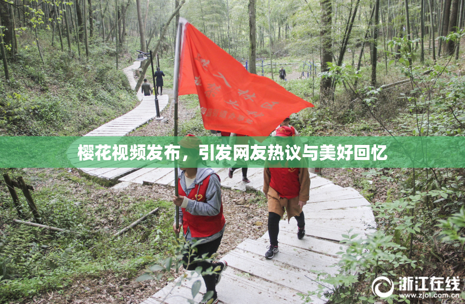 樱花视频发布，引发网友热议与美好回忆