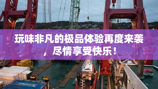 玩味非凡的极品体验再度来袭，尽情享受快乐！