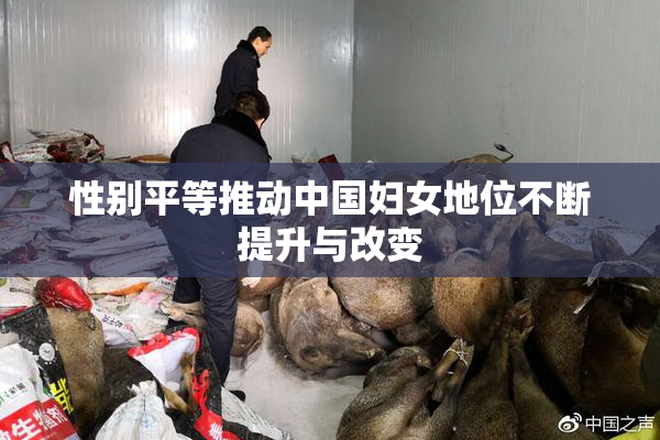 性别平等推动中国妇女地位不断提升与改变