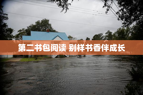 第二书包阅读 别样书香伴成长