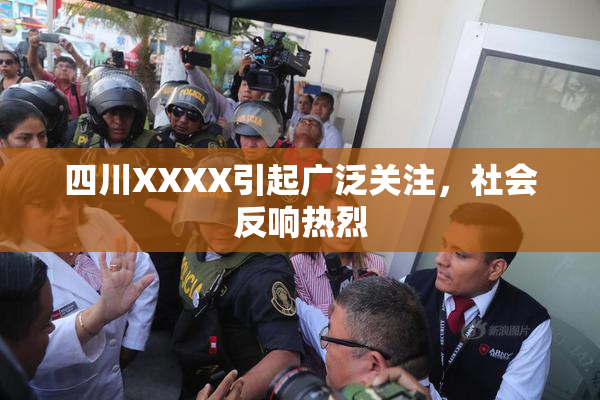 四川XXXX引起广泛关注，社会反响热烈