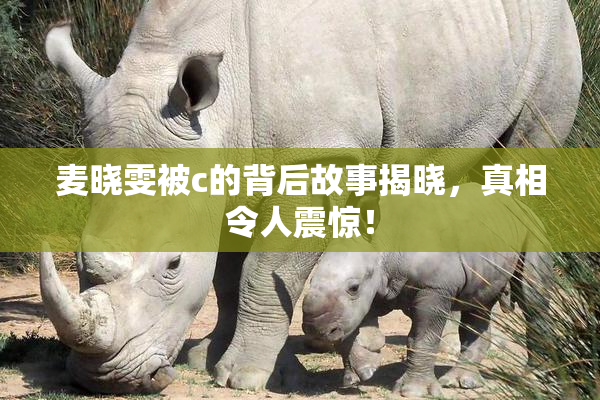 麦晓雯被c的背后故事揭晓，真相令人震惊！