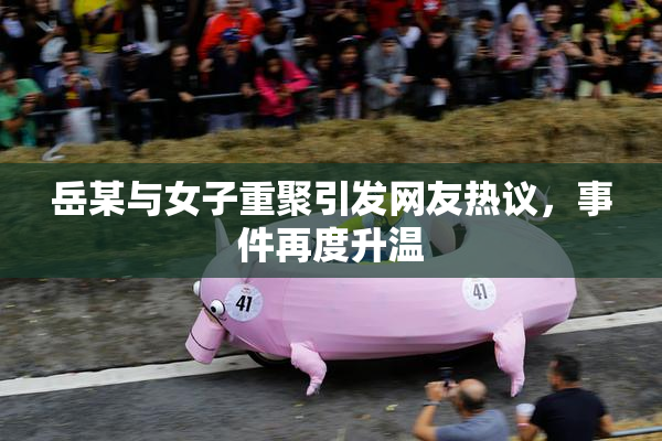 岳某与女子重聚引发网友热议，事件再度升温