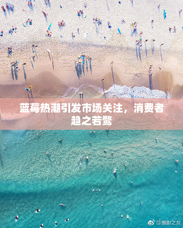 蓝莓热潮引发市场关注，消费者趋之若鹜