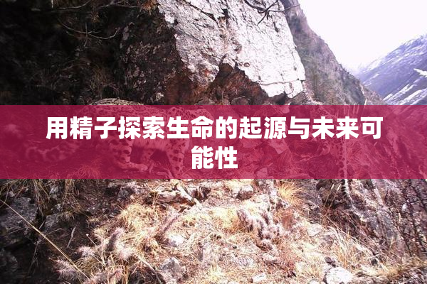 用精子探索生命的起源与未来可能性