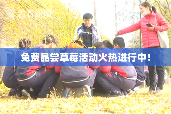 免费品尝草莓活动火热进行中！