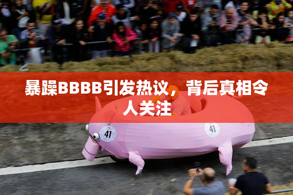 暴躁BBBB引发热议，背后真相令人关注