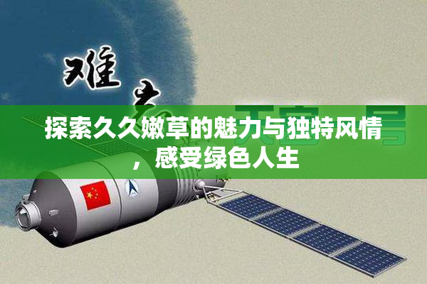 探索久久嫩草的魅力与独特风情，感受绿色人生