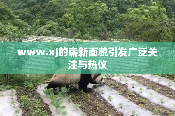 www.xj的崭新面貌引发广泛关注与热议