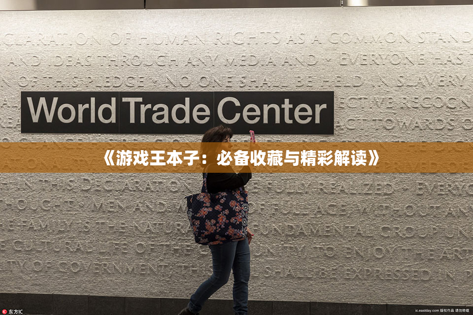 《游戏王本子：必备收藏与精彩解读》