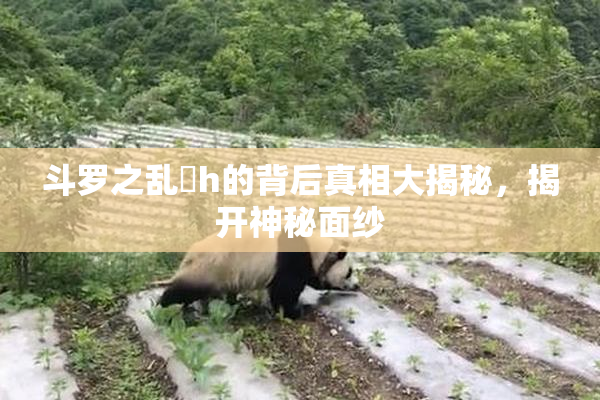 斗罗之乱婬h的背后真相大揭秘，揭开神秘面纱