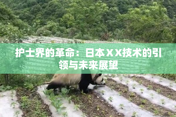 护士界的革命：日本ⅩX技术的引领与未来展望