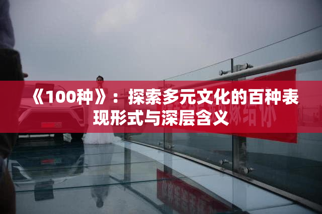《100种》：探索多元文化的百种表现形式与深层含义