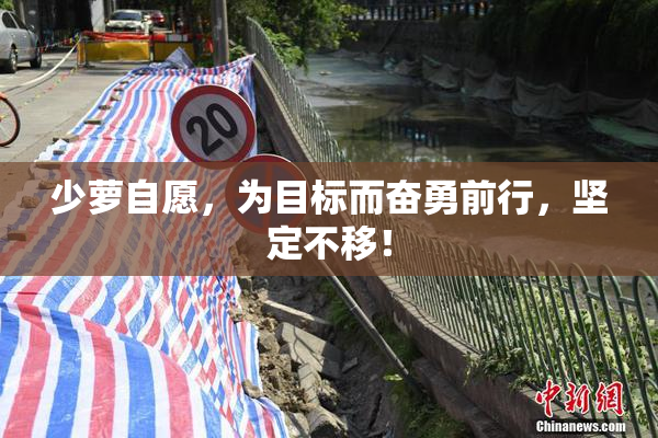 少萝自愿，为目标而奋勇前行，坚定不移！