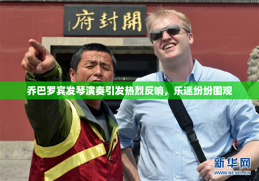 乔巴罗宾发琴演奏引发热烈反响，乐迷纷纷围观